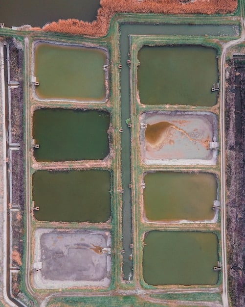 Algae Biofuel: Can It Power US Transportation by 2026?