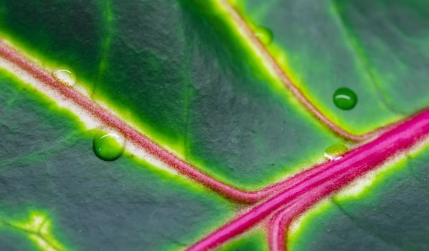 A close-up of a bioreactor filled with vibrant green algae, highlighting the bubbling CO2 being introduced for growth. The image focuses on the controlled environment and the biological process of algae cultivation for biofuel production.