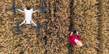 Precision Agriculture: US Farmers Save Water with Smart Sensors - Cover Image