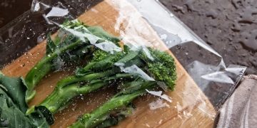 US Scientists Turn Food Waste into Bioplastic: A Sustainable Solution - Cover Image