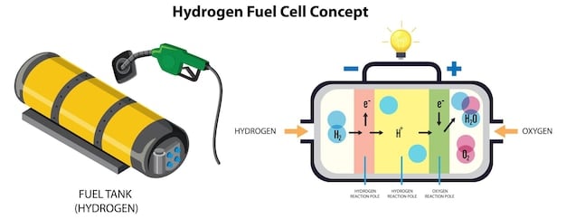 A diagram illustrating the components and process of a hydrogen fuel cell, highlighting the flow of hydrogen and oxygen, the production of electricity and water, and the anode, cathode, and electrolyte membrane.