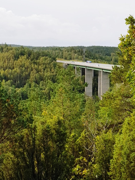 CLT Construction: Unveiling the Environmental Benefits in the US
