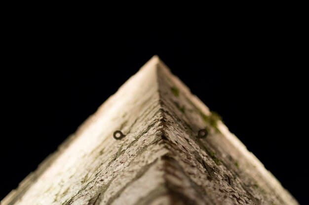 A close-up of a cross-section of a CLT panel, highlighting the layered wood and its carbon storage potential.