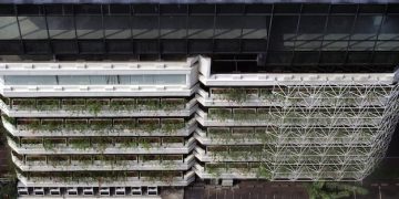 Vertical Farming Potential for Sustainable Urban Food Production in the US - Cover Image