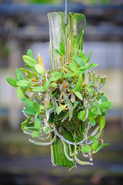 A close-up of a hydroponic system in a vertical farm, showing plant roots submerged in nutrient-rich water under purple LED lighting. The focus is on the health and vitality of the plants, highlighting the efficiency of the system.