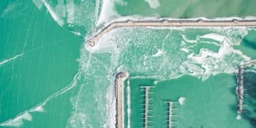 Algae Biofuels: Breakthroughs and Commercialization Prospects in the US - Cover Image