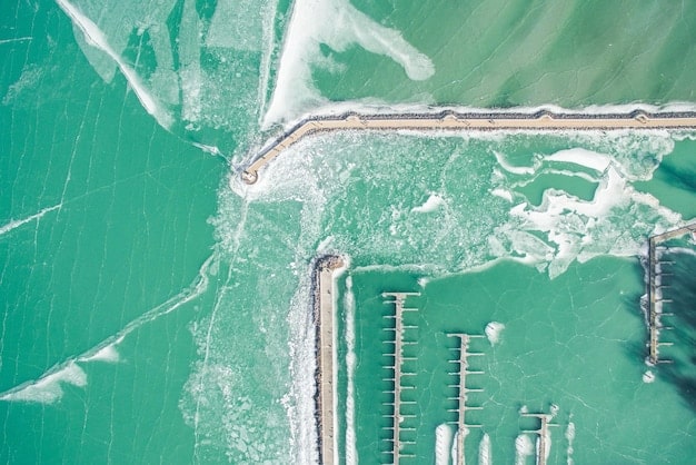 Algae Biofuels: Breakthroughs and Commercialization Prospects in the US