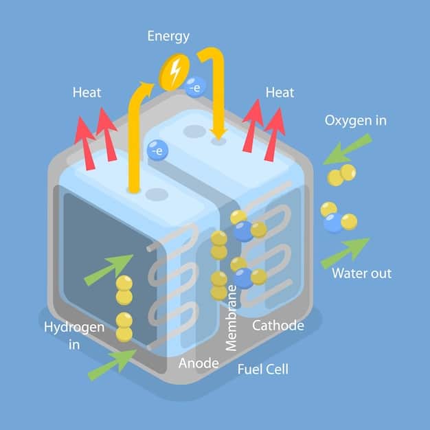 A detailed diagram illustrating the internal components of a hydrogen fuel cell, clearly showing the flow of hydrogen and oxygen, the membrane, and the production of electricity and water.