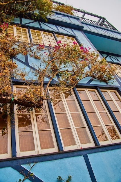 A picture of solar panels on a roof with energy-efficient windows visible in the house below. The image illustrates the combined benefits of renewable energy and efficient home design, emphasizing environmental sustainability.