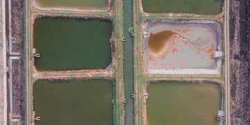 Anaerobic Digestion: A Guide for US Farmers on Renewable Energy and Waste Management - Cover Image