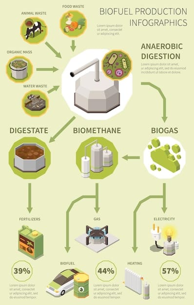 A diagram illustrating the different components of an anaerobic digestion system, including the feedstock input, digester tank, biogas output, and digestate storage. The diagram should be clear and easy to understand.