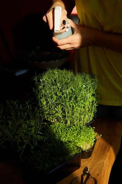 A close-up view of various leafy greens and herbs growing in a vertical farm setup. The plants are illuminated by LED grow lights, and a worker is carefully tending to the crops.