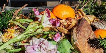 Compost Like a Pro: The Ultimate Beginner's Guide (US) - Cover Image