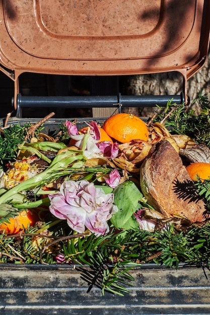 Compost Like a Pro: The Ultimate Beginner’s Guide (US)