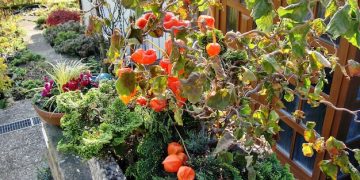 Maximize Your Impact: Sustainable Gardening for a Greener Planet - Cover Image