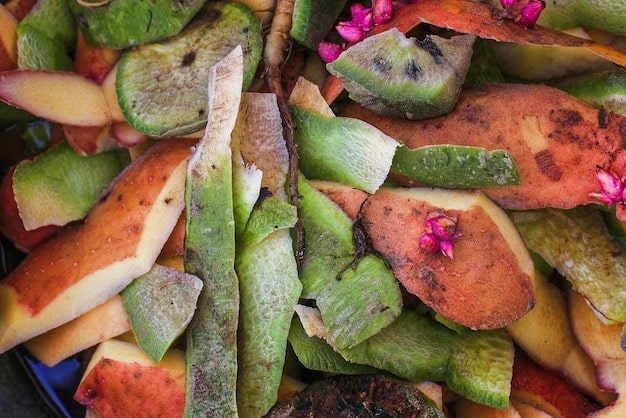 A close-up shot of a compost bin filled with various organic materials like vegetable scraps, leaves, and coffee grounds. Steam rises slightly, illustrating the decomposition process. Earthworms are visible, aiding in the process.