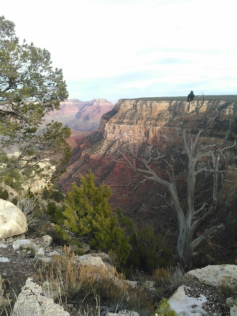Eco-Friendly Travel: Sustainable Tourism Tips for US Travelers