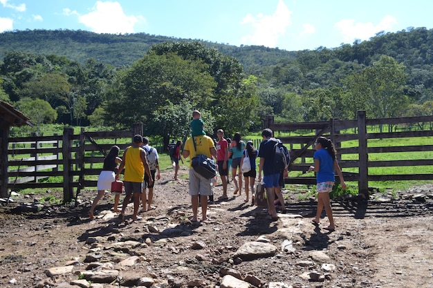 A group of tourists participating in a guided tour of a local farm in the US, learning about sustainable farming practices, interacting with farmers, and sampling locally-grown produce, showcasing responsible activities and excursions.