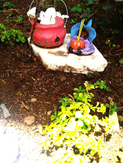 Sustainable Landscaping: Your Guide to an Eco-Friendly Yard