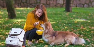 Sustainable Pet Care: Eco-Friendly Tips for US Pet Owners - Cover Image
