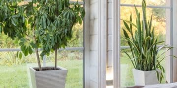 5 Unexpected Ways to Cut Your Home's Energy Use by 15% in 2025 - Cover Image