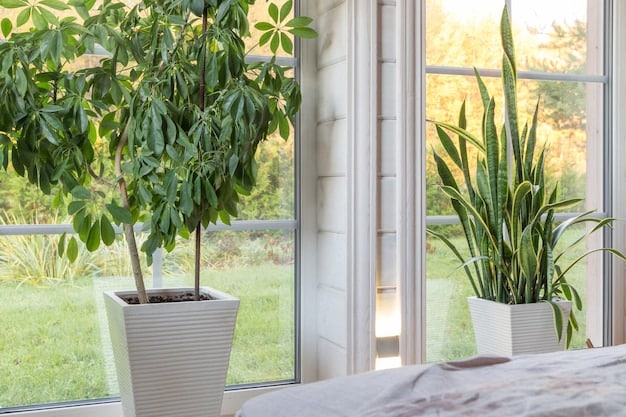 5 Unexpected Ways to Cut Your Home’s Energy Use by 15% in 2025