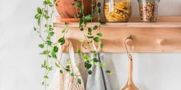 Sustainable Kitchen Swaps: Save Money & Reduce Waste - Cover Image