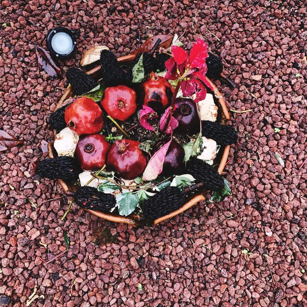 Compost Like a Pro: Beginner’s Guide for US Residents