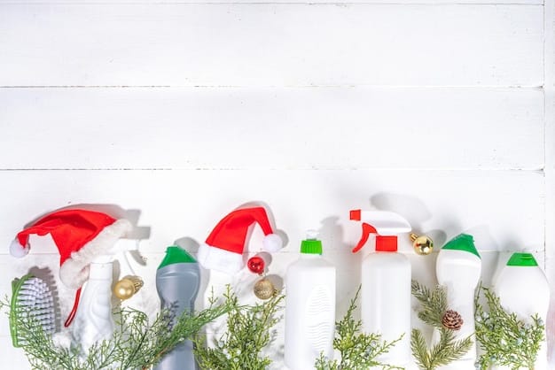 Eco-Friendly Cleaning Products: Your Non-Toxic Guide