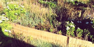 Sustainable Gardening: Grow Food, Reduce Your Carbon Footprint - Cover Image