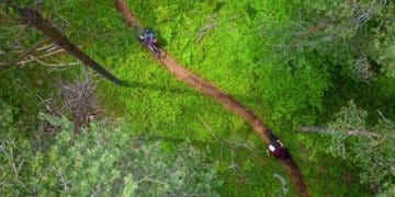 Eco-Friendly Travel: Your Guide to Sustainable Vacations - Cover Image