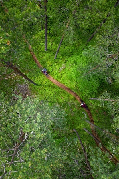 Eco-Friendly Travel: Your Guide to Sustainable Vacations