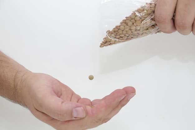 A hand pouring dry pet food from a biodegradable paper bag into a stainless steel pet bowl. The pet food is made from insect-based protein, and the background shows a well-organized pantry with other eco-friendly pet supplies.