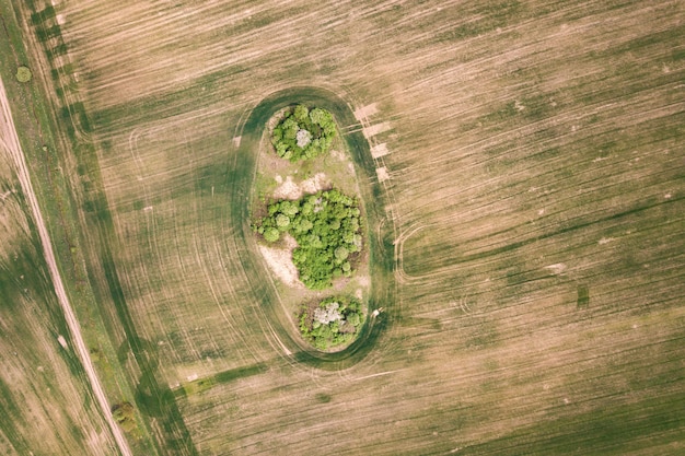 A satellite image showing the expansion of soybean farms into previously forested areas of the Amazon, illustrating the agricultural encroachment driven by international demand.