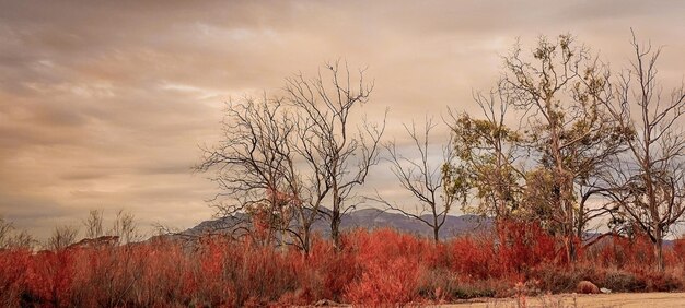 How Will Climate Change Impact US National Parks?