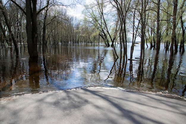 A high tide flooding a coastal road in a national park, with water reaching the doors of nearby buildings. The image illustrates the growing threat of rising sea levels and coastal erosion on the park's infrastructure.