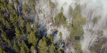How Climate Change Impacts Wildfire Risk & Management in the US - Cover Image