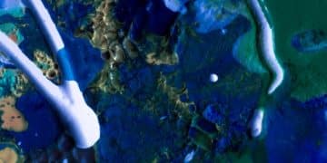 Ocean Acidification: Threats to US Fisheries and Marine Life - Cover Image