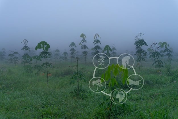 Graph illustrating the correlation between deforestation rates in the Amazon and the increase in global carbon emissions. Highlight the specific contribution of deforestation to greenhouse gas levels.