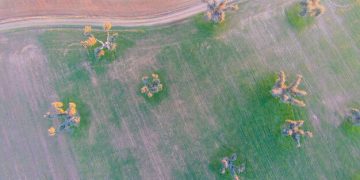Sustainable Agriculture: New Farming Practices for Climate Change Mitigation in the US - Cover Image