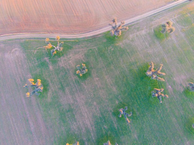 Sustainable Agriculture: New Farming Practices for Climate Change Mitigation in the US