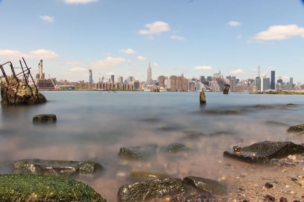 Sea Level Rise Projections: US Coastline Forecast by 2100