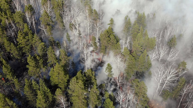 A dramatic aerial view of a large wildfire burning intensely in a national park, with flames engulfing trees and thick smoke filling the sky, demonstrating the scale and intensity of wildfires exacerbated by climate change.