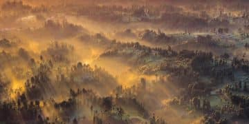 Climate Change and Wildfires: Understanding the Risks in the US - Cover Image