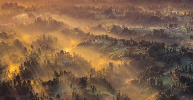 Climate Change and Wildfires: Understanding the Risks in the US