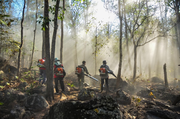 A group of firefighters battling a wildfire in a forest, using hoses and hand tools to control the flames. The firefighters are wearing protective gear and working in challenging conditions, illustrating the intensity and danger of wildfire suppression efforts.